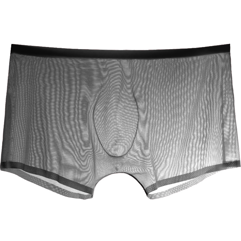 男性ボクサー男性ブリーフ薄手の下着ホットマンチュールビキニ通 - Trunk Breathable Men のレビューと価格
