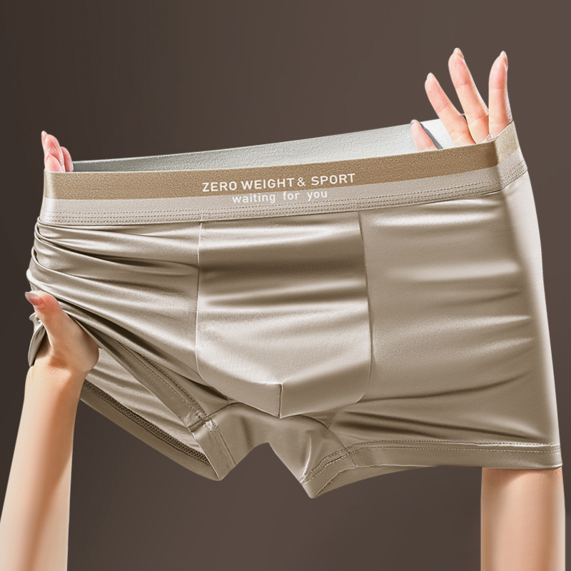 4 ピース/セットメンズボクサーパンツアイスシルク下着プラス - Boxer Shorts Modal のレビューと価格