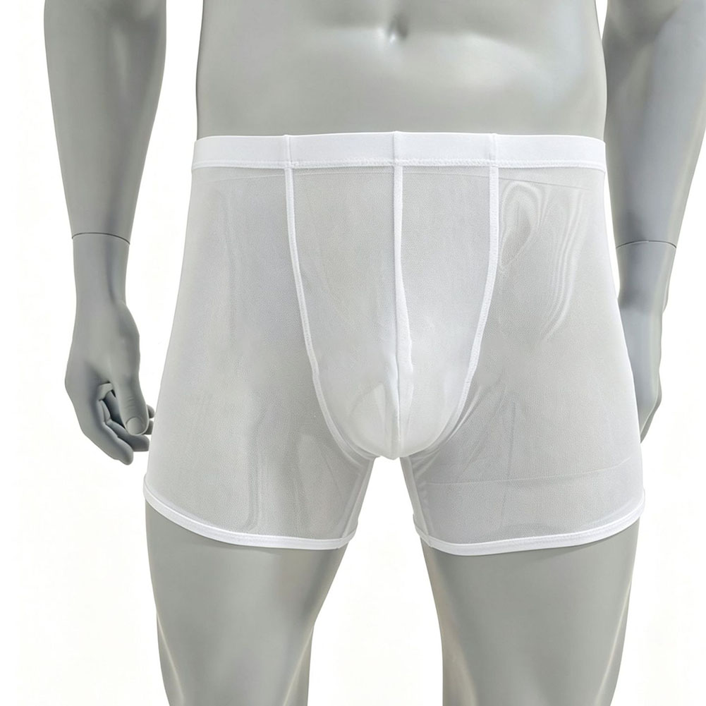 男性メッシュシースルー超薄型ボクサーパンツ下着ハイウエストト - Long Leg Trunk Men のレビューと価格